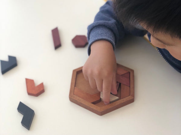 Montessori Natural Wooden Hexagon Puzzle