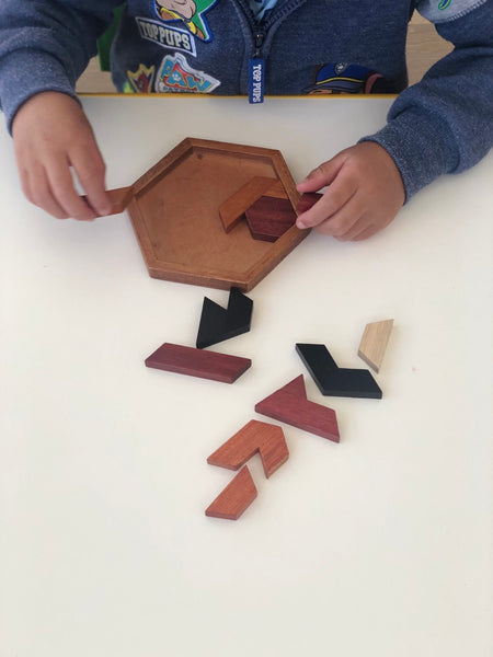 Montessori Natural Wooden Hexagon Puzzle